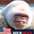 Martin Harris Sr.'s profile image