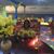 Lynette Wahid's profile image