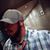 Nathanael Le Jeune's profile image