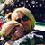 Randi Goldsholle Livoti's profile image
