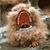 Ian Purscelley's profile image