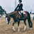 Heather Lynn Werkema Smith's profile image