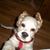Linda Gray's profile image