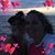 April Wolcott's profile image