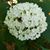 Esther Thompson Turner's profile image