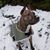 Jasper Shifflett's profile image