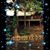 Stormie Leger Stelly's profile image