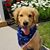 Beth Wedeven's profile image
