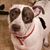 Tina Staples's profile image