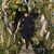 Liz Wagner's profile image