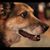 Becky Rollins Clark's profile image