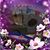 Dawn Nelson's profile image