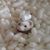 Tracy Wanda's profile image