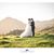 Tam Schoeman's profile image