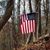 Suz Dowden's profile image