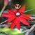 Sandra Griffith's profile image