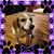 Mary Burmeister's profile image