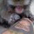 Rob Isselbaecher's profile image