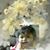 Fredy Sanchez's profile image