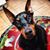 Tracey Deiss's profile image
