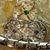 Gregory Mancini's profile image