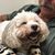 Robin Hamann's profile image