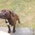 Fidelis Gordon's profile image