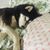 Allison Buckowitz Chandler's profile image