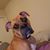 Cynthia Miller's profile image