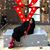 Norma Perez's profile image