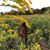 Sally Miller's profile image