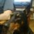 Dena Dunkin's profile image