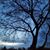 Joni Helmer's profile image