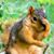 Ruth Larrabee Kevghas's profile image