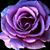 Ashli Nielson's profile image