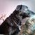 Cheryl Majewski-Avgerinos's profile image