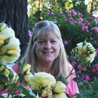 Ruth McCauley's profile image