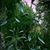 Bruce Forshee's profile image