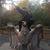 David Michael Dieter's profile image