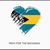Maureen Welch Bonifazi's profile image