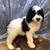Cindy Walker's profile image