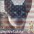 Kathy Foley's profile image