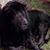 Derek Burs's profile image