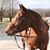Helen Claiborne's profile image