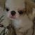 Laura Williams Baird's profile image
