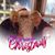 Tom Adams's profile image
