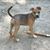 Bart Owen Emry's profile image