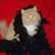 Robin Burke Caird's profile image