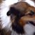 Theresa Hellmann's profile image
