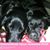 Linda Fuller-Miller's profile image